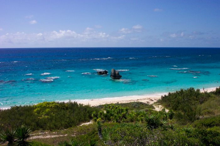 Warwick Long Bay