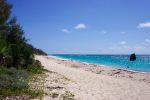 Near Jobson's Point