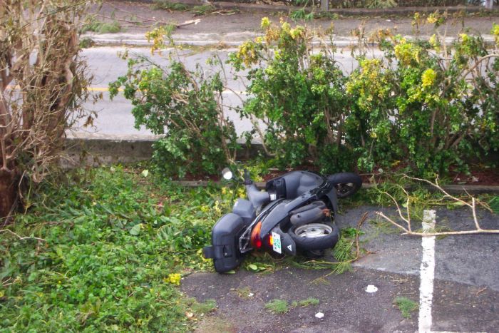Neighbour's scooter
