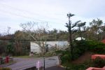 Right View - After Fabian