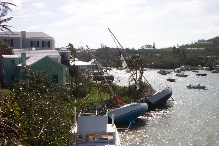 The harbour