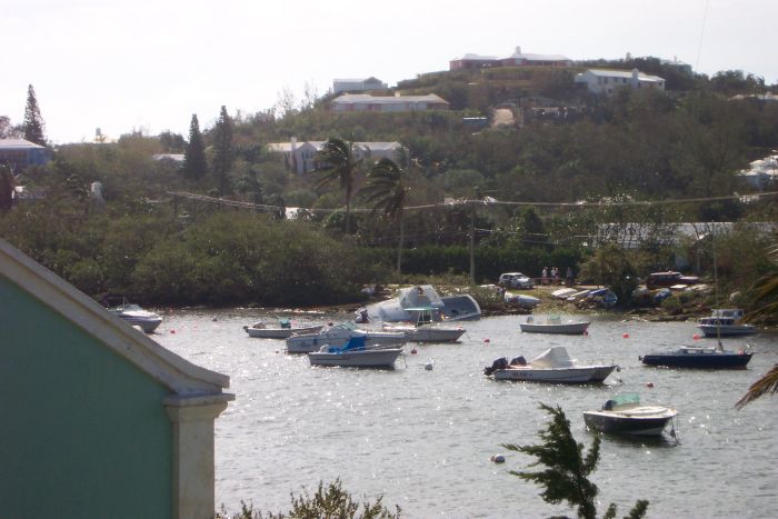 The harbour