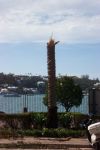 Palm tree