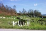 Graveyard
