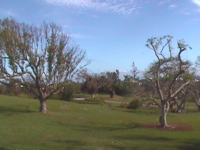 Botanical Gardens