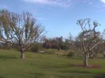 Botanical Gardens