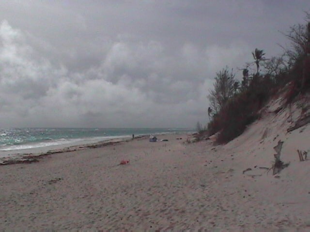 Elbow Beach