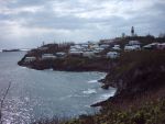 St. David's