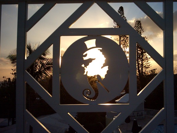 Logo Elbow Beach